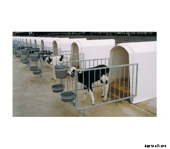 Calf Hutch