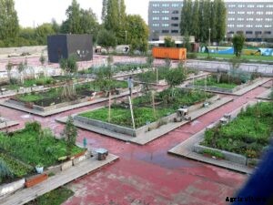 An Introduction to Urban Farming, Types, Ideas, and Benefits