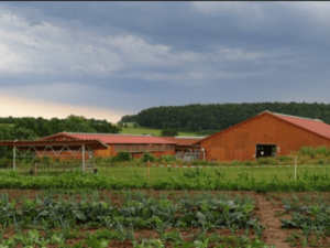 Guide To Organic Farming Methods