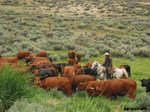 Guide To Organic Farming Methods