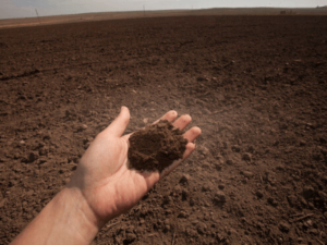 An Ultimate Guide to Soil Degradation Causes and Preventive Methods