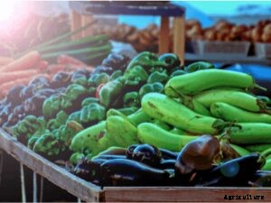 Coronalockdown |  Effect on Farming and Agriculture Markets