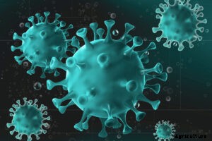 Coronalockdown |  Effect on Farming and Agriculture Markets