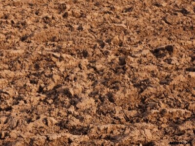 Types of Soil and Crops Suitable Grown in India