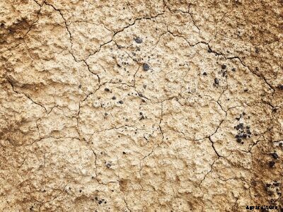 Types of Soil and Crops Suitable Grown in India