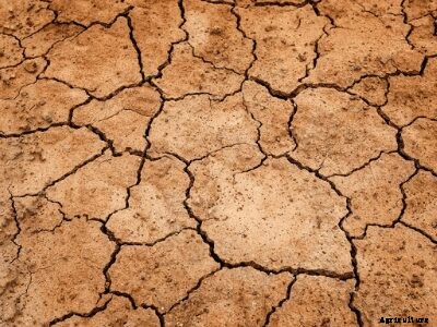 Types of Soil and Crops Suitable Grown in India