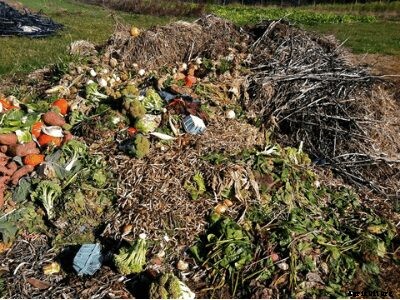 How To Make Organic Compost From Your Kitchen Waste, Manure