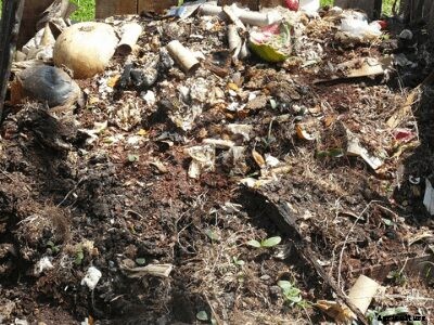 How To Make Organic Compost From Your Kitchen Waste, Manure