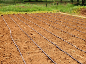 The Ultimate Guide on Drip Irrigation Cost per Acre in India