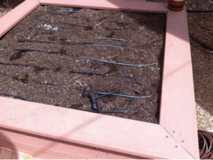 The Ultimate Guide on Drip Irrigation Cost per Acre in India