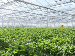 Hydroponic Farming Information Guide | Agriculture Goods