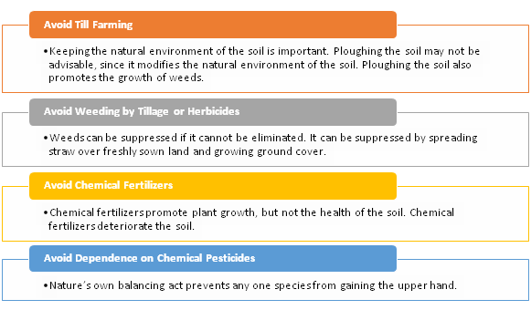 Essential Guide On Natural Farming: Philosophy, Principles, Status of Natural Farming in India and Challenges