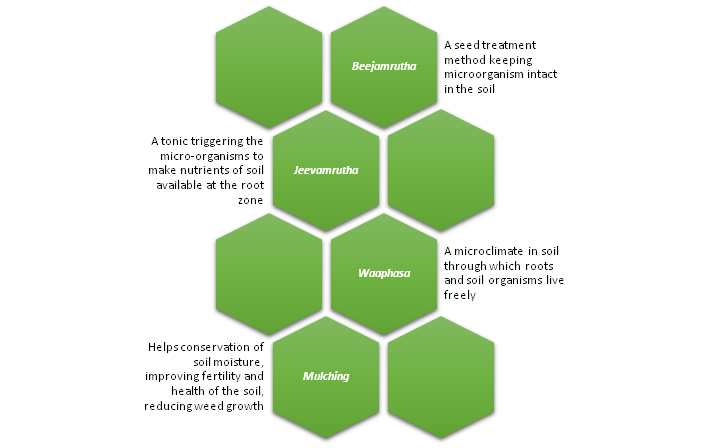 Essential Guide On Natural Farming: Philosophy, Principles, Status of Natural Farming in India and Challenges