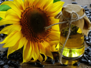 Sunflower Oil and Sunflower Seeds – Facts and Benefits