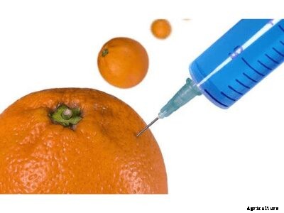 Guide To Food Adulteration: Meaning, Causes, Types, Methods, Detection