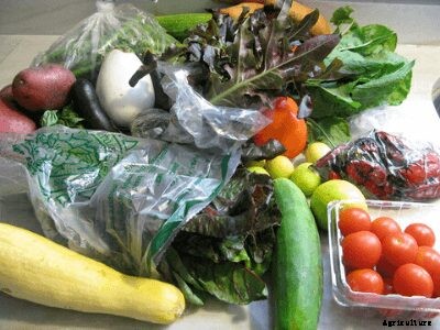 Guide To Food Adulteration: Meaning, Causes, Types, Methods, Detection