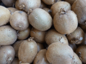 kiwi Fruit Cultivation | Guide for Beginners of Kiwi Farming