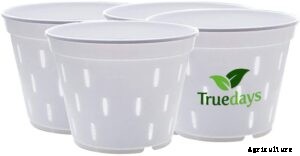 10 Best Orchid Pots & Containers 2021 – Buying Guide