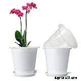 10 Best Orchid Pots & Containers 2021 – Buying Guide