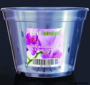 10 Best Orchid Pots & Containers 2021 – Buying Guide