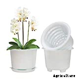 10 Best Orchid Pots & Containers 2021 – Buying Guide