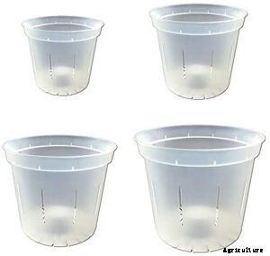 10 Best Orchid Pots & Containers 2021 – Buying Guide