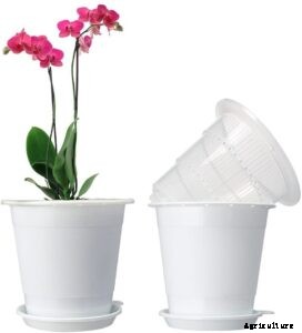 10 Best Orchid Pots & Containers 2021 – Buying Guide