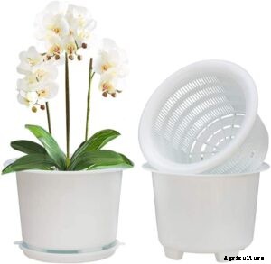 10 Best Orchid Pots & Containers 2021 – Buying Guide