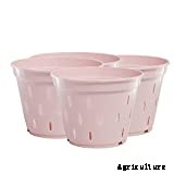 10 Best Orchid Pots & Containers 2021 – Buying Guide