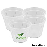 10 Best Orchid Pots & Containers 2021 – Buying Guide