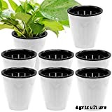 10 Best Orchid Pots & Containers 2021 – Buying Guide