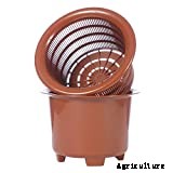 10 Best Orchid Pots & Containers 2021 – Buying Guide