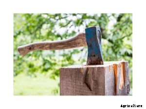 Five Must-Have Agriculture Tools To Buy