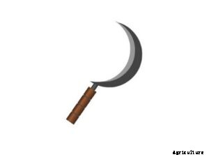 Five Must-Have Agriculture Tools To Buy