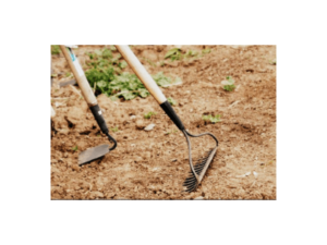 Five Must-Have Agriculture Tools To Buy