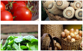 Tips To Maintain Kitchen Garden in India | Kitchen Garden Care Tips