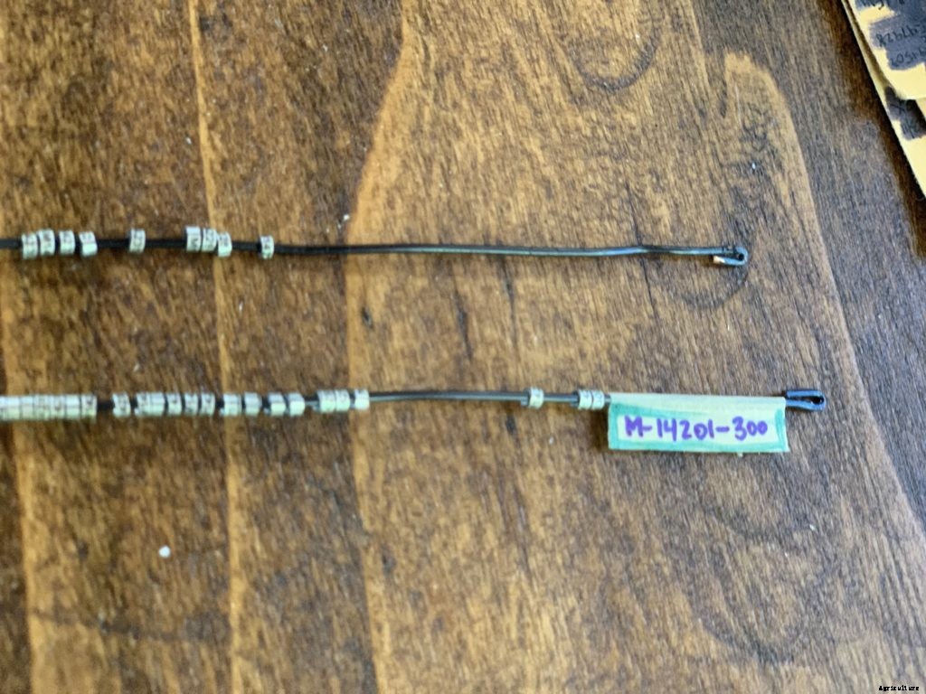 In Maine, hummingbird banders track the migrating birds on their journey