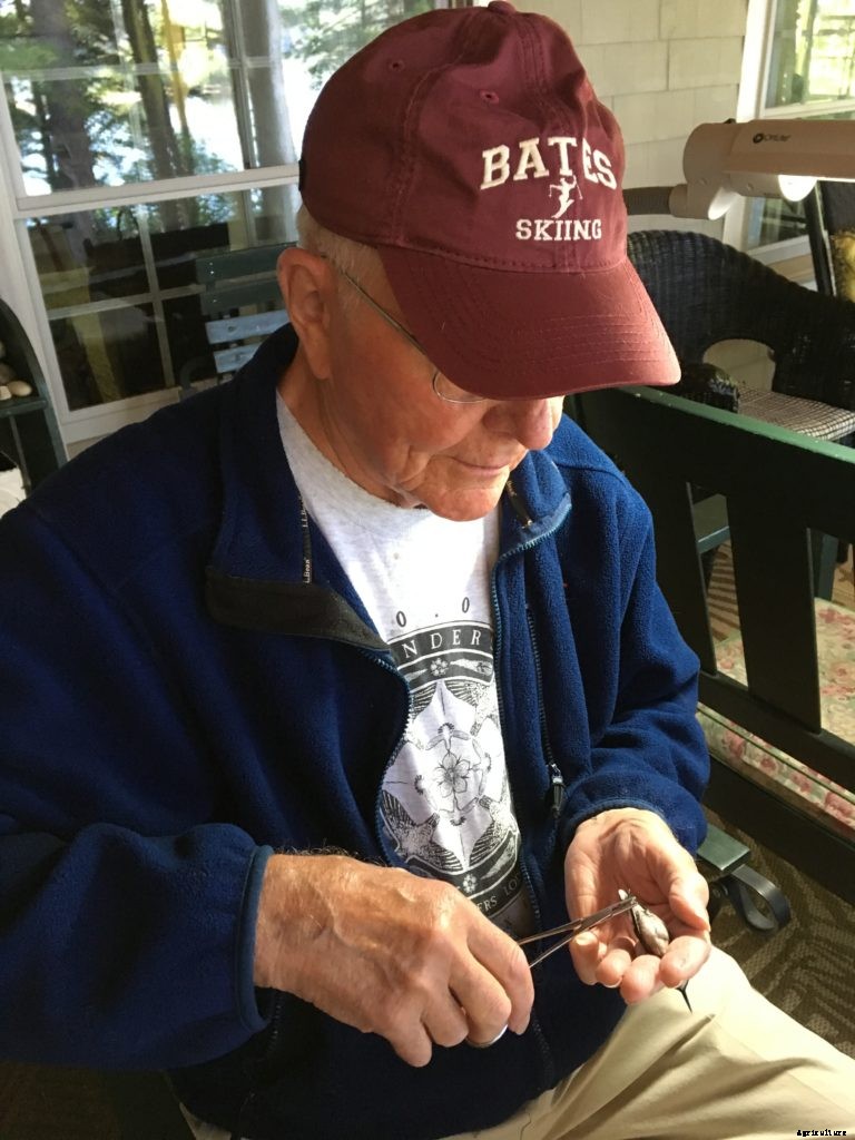 In Maine, hummingbird banders track the migrating birds on their journey
