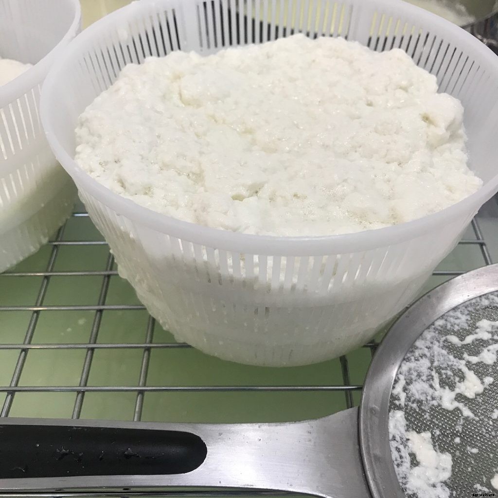 What to make with sheep milk
