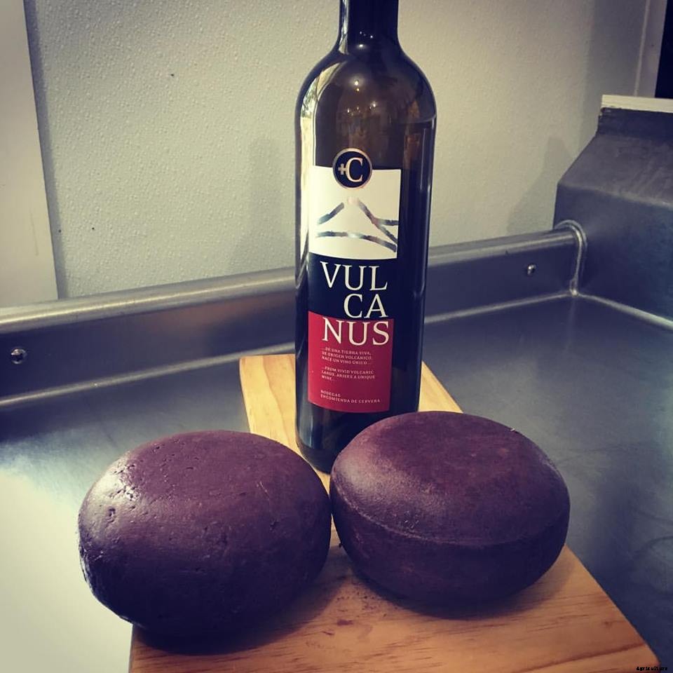 What to make with sheep milk