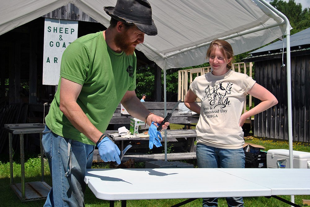 Backyard chicken processing 101