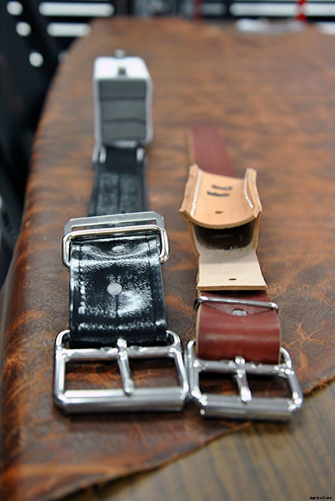 GPS Cows teaches rural youths how farming can be high-tech