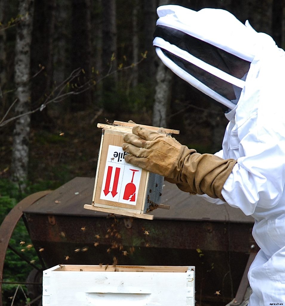 Can you get stung through a bee suit?