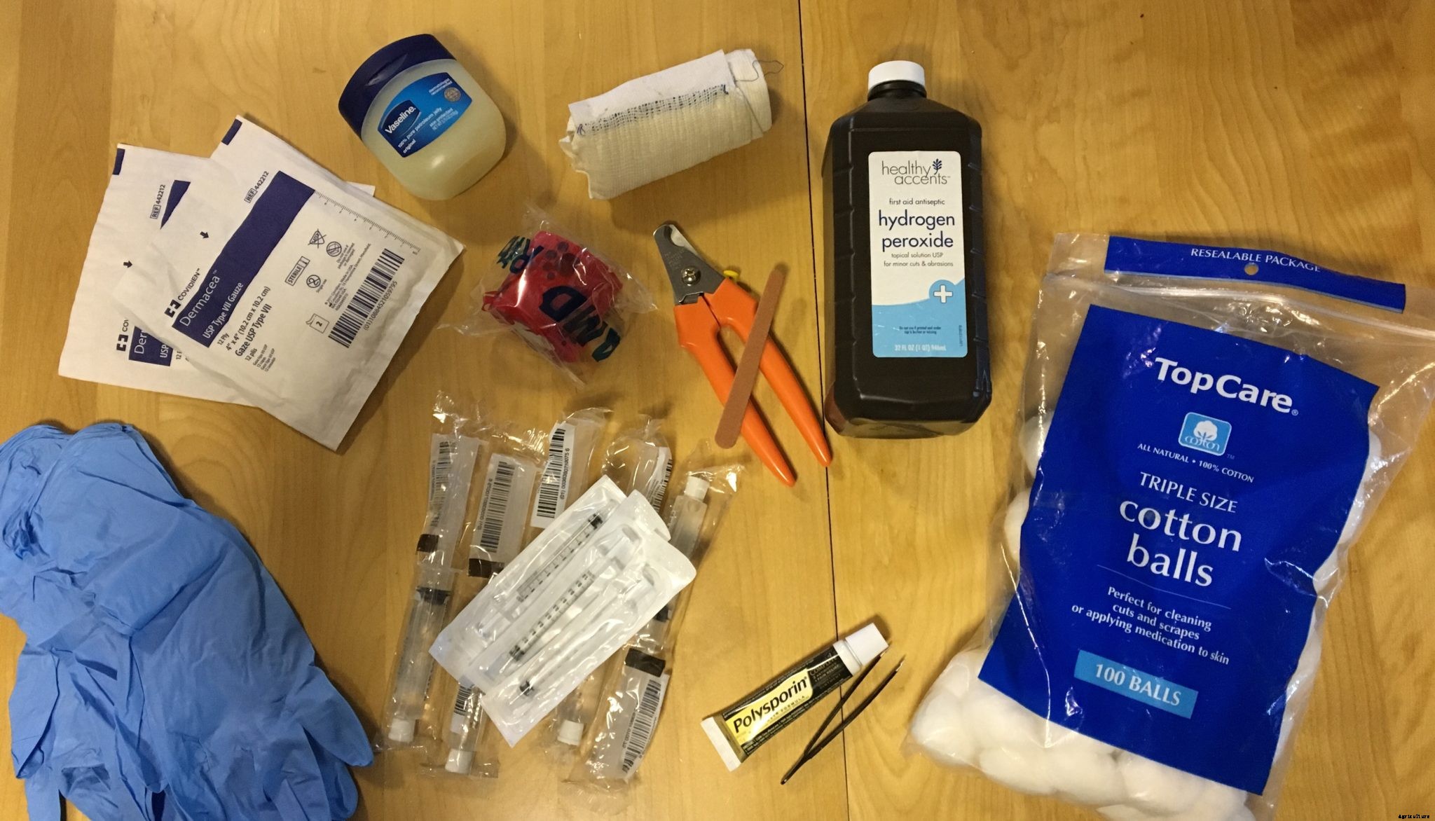 How to set up and prepare for backyard poultry first aid