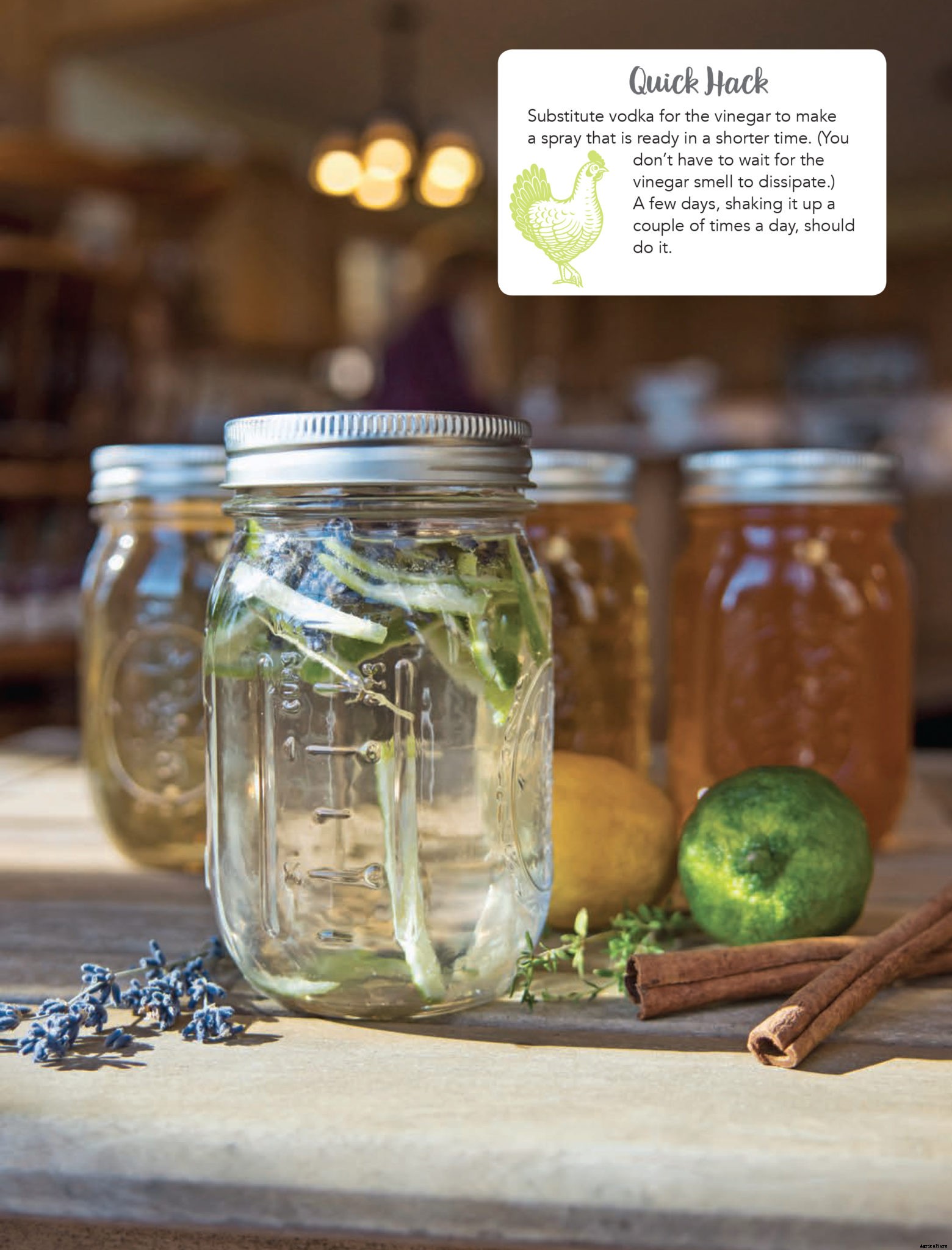 Natural cleaners for cleaning  the chicken coop