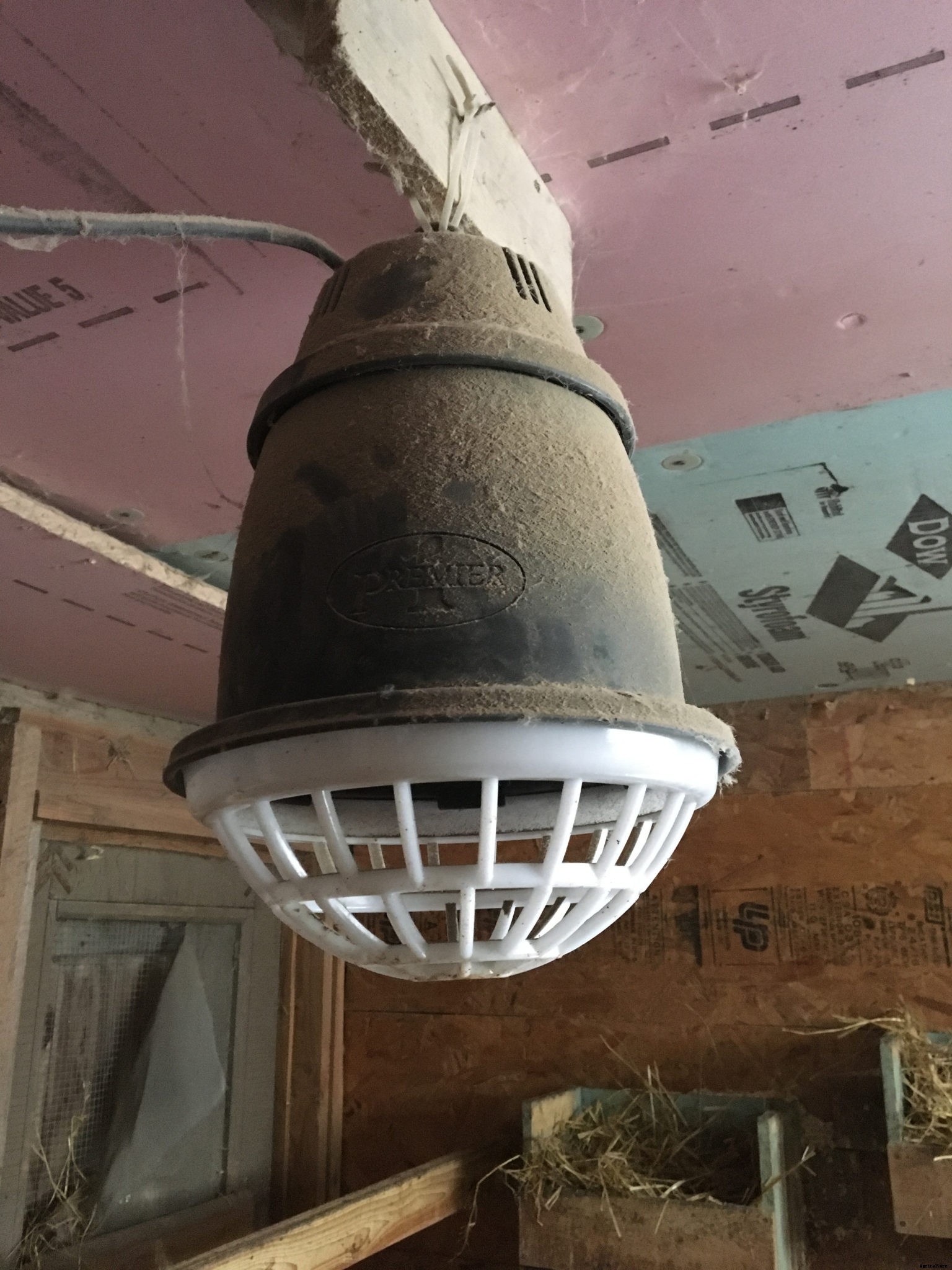 Getting chickens ready for winter