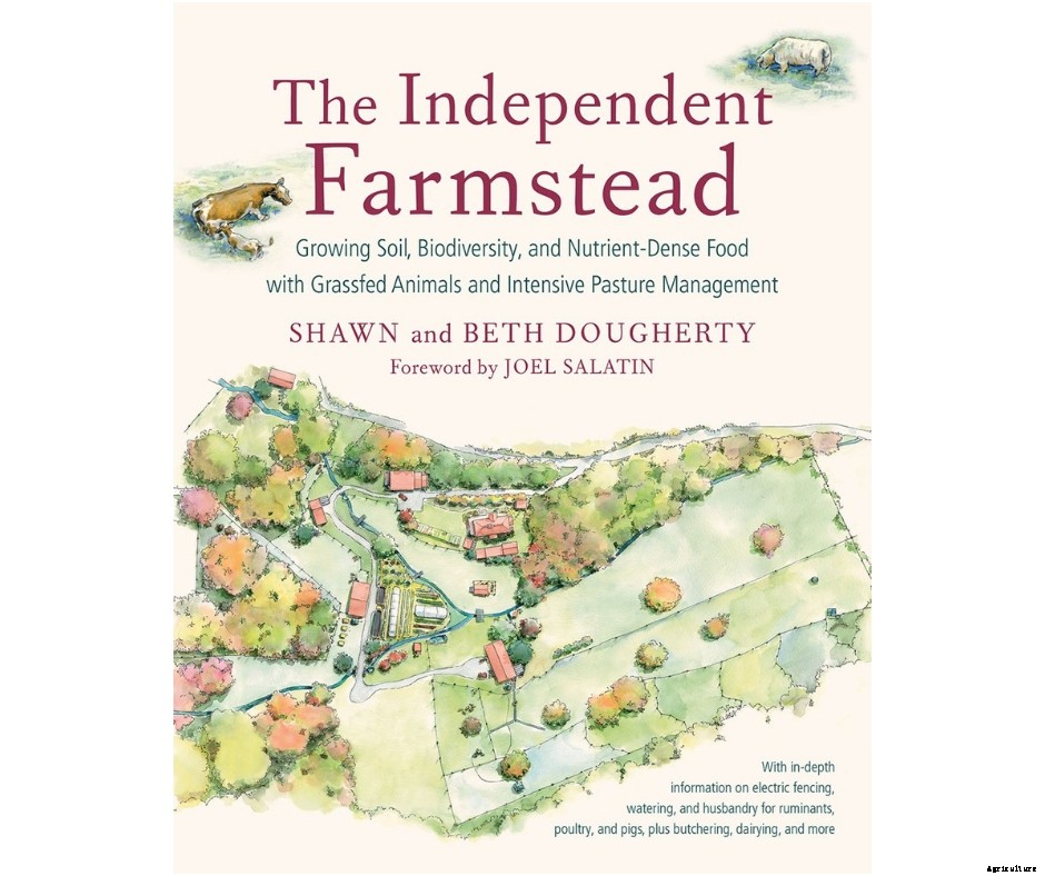 How to build a perfect paddock for grazing