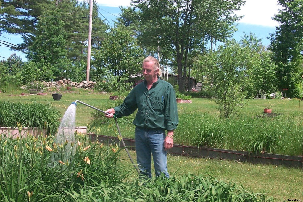 3 essential watering tools for beginning gardeners
