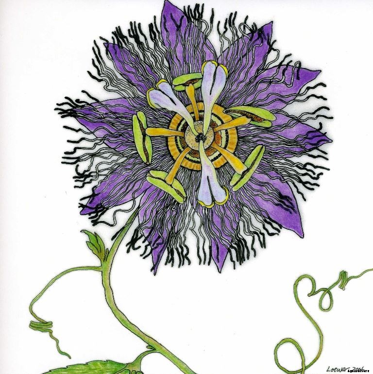 Author Peter Loewer thinks you should learn as you grow