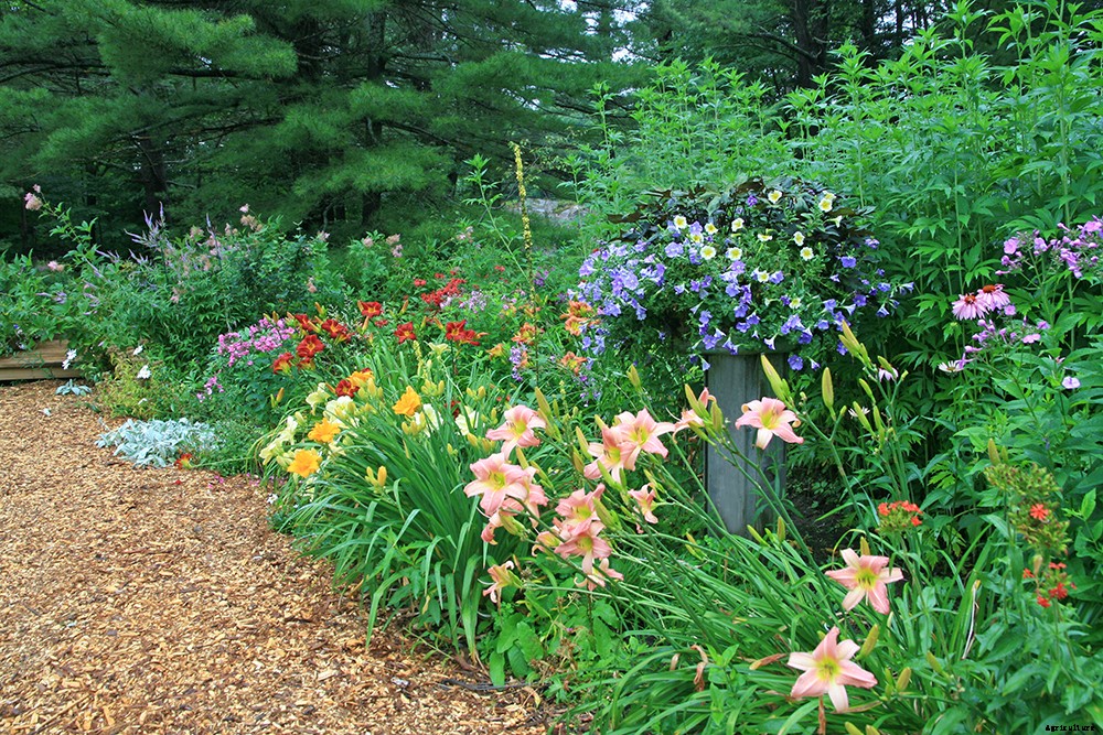 The first steps to fragrant gardening
